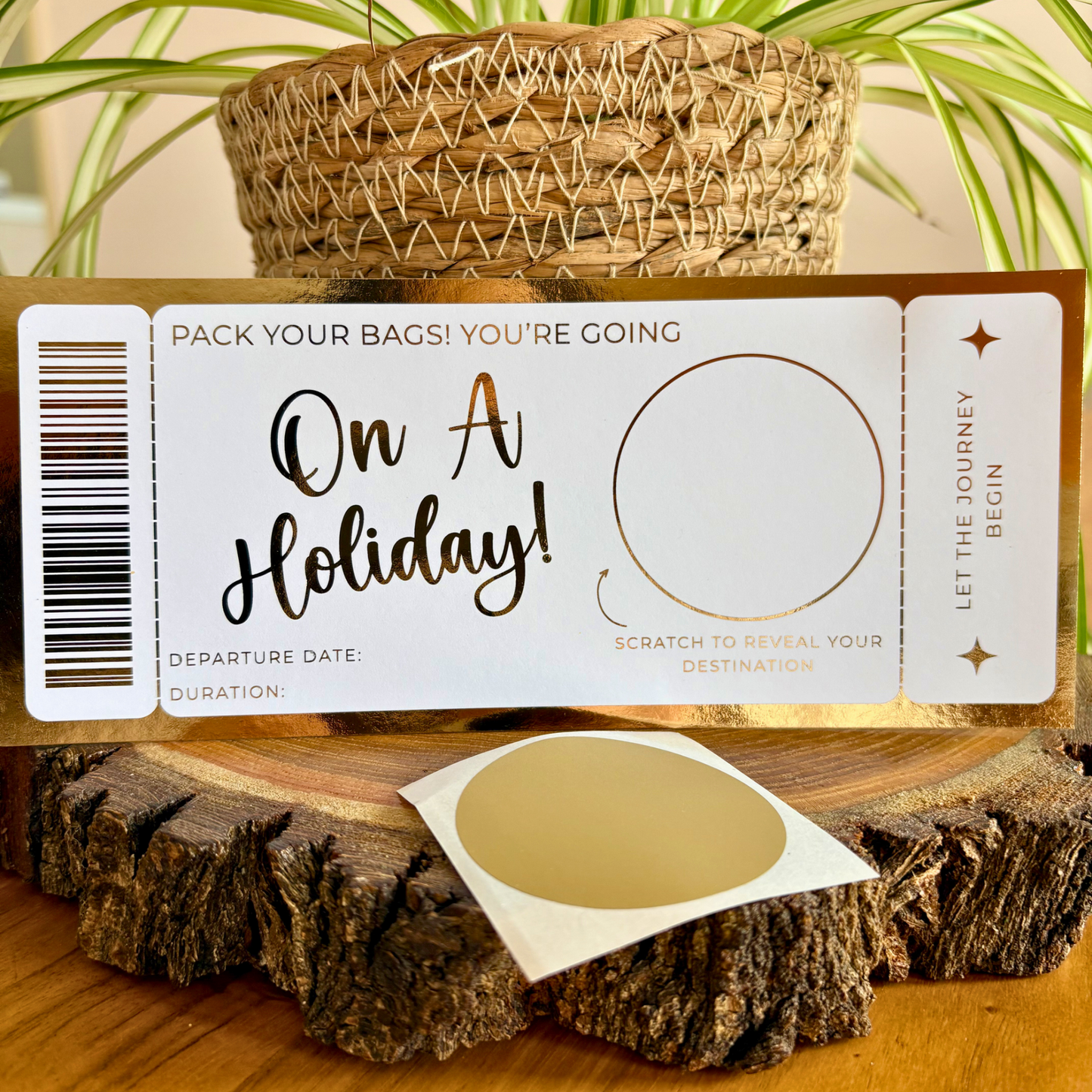 Holiday
