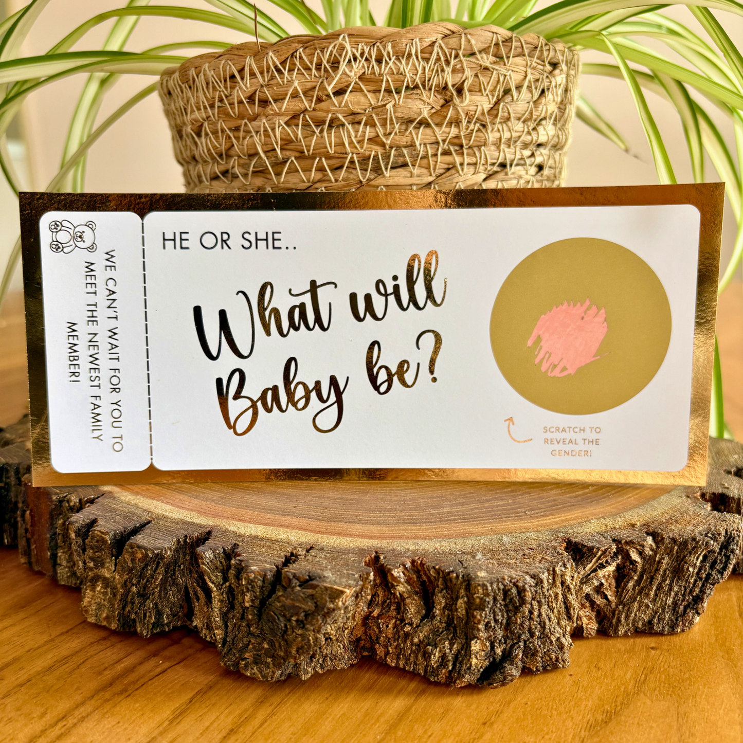 Gender Reveal
