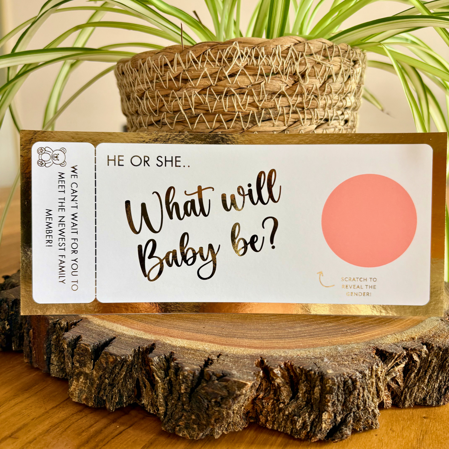 Gender Reveal