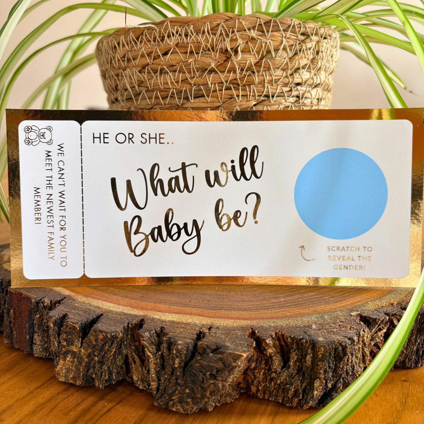 Gender Reveal